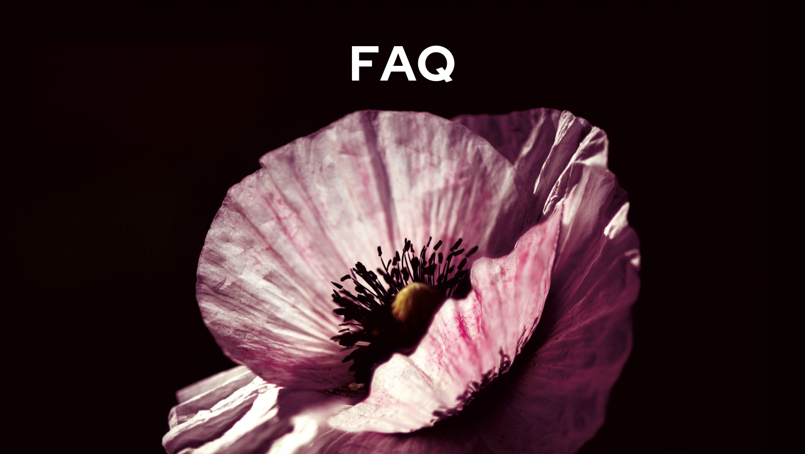 FAQ Immaculée connexion
